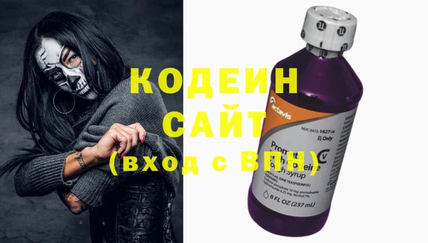 сатива Арсеньев