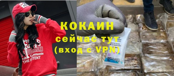 сатива Арсеньев